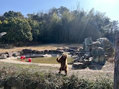 -宁波野生动物园