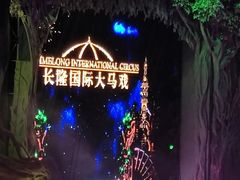 -广州长隆国际大马戏