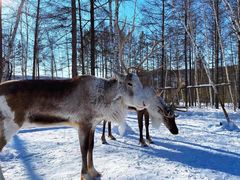 -北极村旅游风景区