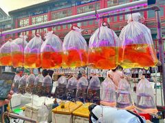 -华声天桥民俗文化园