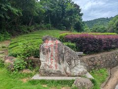 -敬亭山风景名胜区