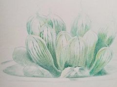 -东方童画少儿美术(莘庄体验馆)