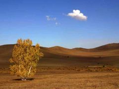 -塞罕坝国家级自然保护区