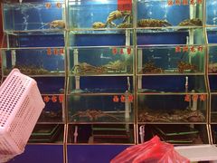 -锦绣大地生鲜食品厅(巨山路店)