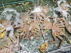 -旺角餐厅(潮州大道店)