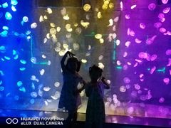 -无锡动物园·太湖欢乐园