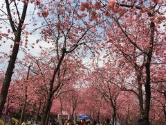 -昆明动物园