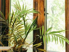 -莱蔻·圣灸堂·推拿艾灸(天山店)