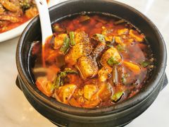 -陈麻婆豆腐总店