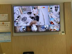 -鼎级派宠物(中南店)
