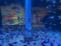 -海合安成都极地海洋公园