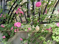 -中国石油大学（北京）(北京西校区)