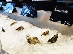 -Oyster Talks 四度蚝法餐厅