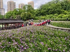 -龙头寺公园