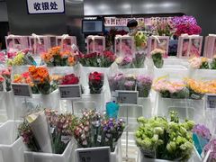 -盒马X会员店(王府井奥莱UP TOWN店)