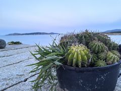 -北港方记海鲜楼·海景餐厅