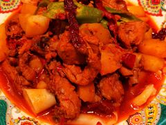 -巴依老爷新疆美食(望京小街店)