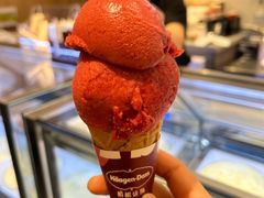 -哈根达斯(深圳海岸城店)