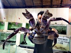 -海盗餐厅
