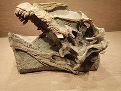 -自贡恐龙博物馆