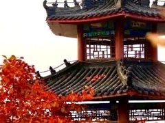 -狼牙山风景区