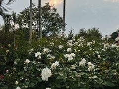 -人民公园(罗湖区)