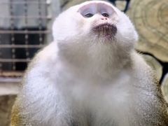-黔灵山公园