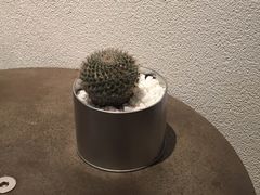 -喜茶(深圳东门1234店)
