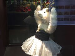 -成都泰迪熊博物馆