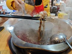 -金鼎雪山牦牛杂火锅(理县总店)