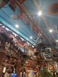 -卡通尼·Safari非洲探索乐园·生日会(金桥国际商业广场店)