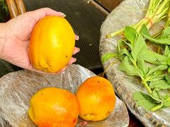 -缘生态云南菜·野生菌庭院餐厅(华侨城店)