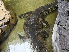 -泉城欧乐堡海洋极地世界