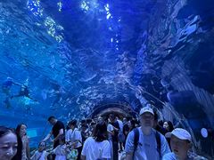 -华夏文旅海洋公园