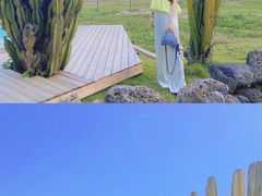 -花海间·即刻露营
