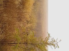 -野鸭湖国家湿地公园