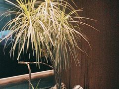 -君庭中餐馆(湘江豪生店)