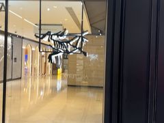 -ARC'TERYX始祖鸟(北京王府中环店)