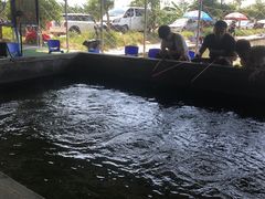 -会江钓鱼钓虾烧烤场