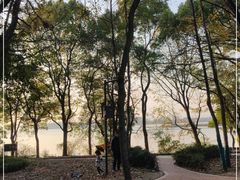-东湖落雁景区