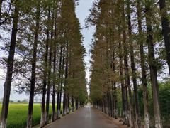 -嘉北郊野公园