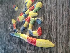 -泸州唯逸酒店(大山坪警察学院店)