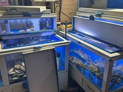 -真情鲍鱼海鲜汤