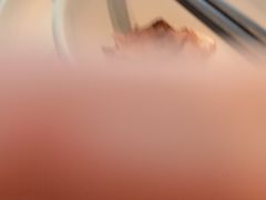 -老鼎万春卤菜(五代传承创始老店)