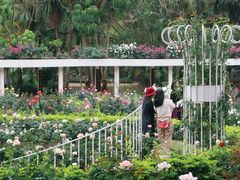 -人民公园(罗湖区)