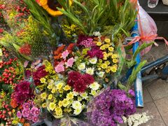 -长白岛森林公园