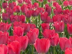 -廊坊文化艺术中心