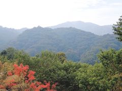 -黄埔油麻山森林公园