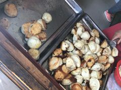 -老槐树煎包