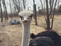 -大连森林动物园